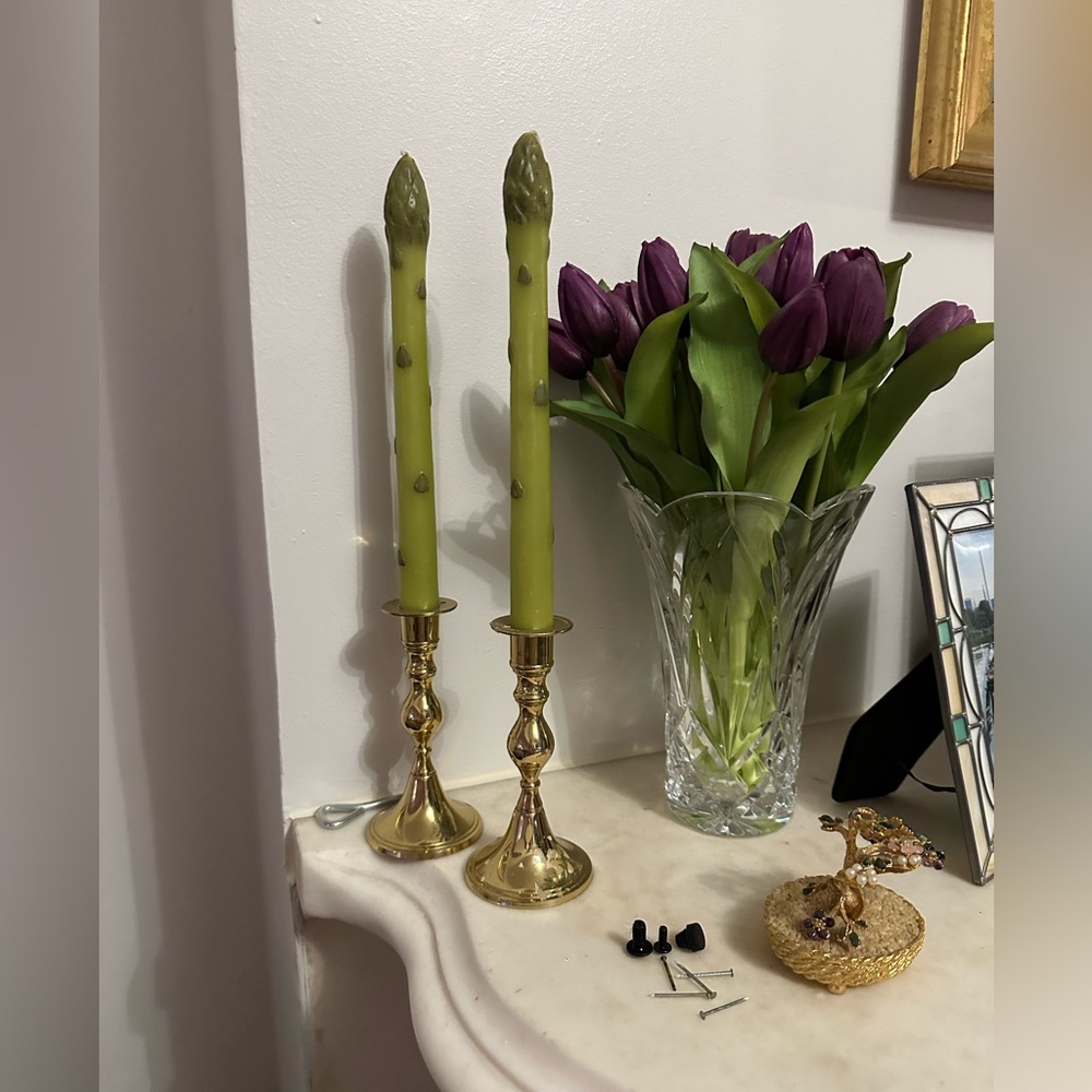 Asparagus Taper Candles - John Derian for Target